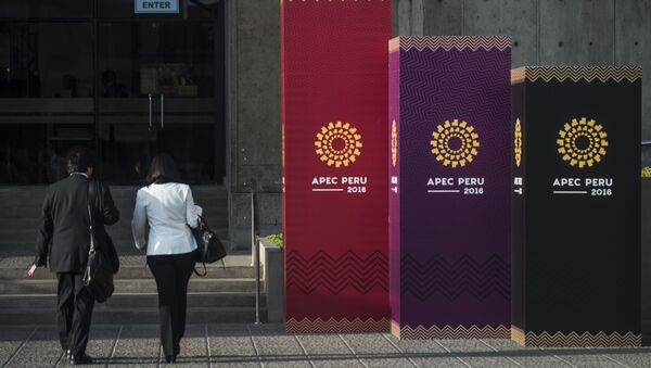 People arrive to the Lima Convention Center during the Asia-Pacific Economic Cooperation (APEC) Summit on November 17, 2016 - Sputnik International