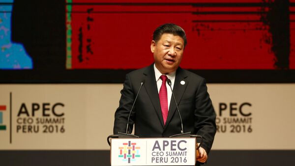 China's President Xi Jinping addresses audience during a meeting of the APEC (Asia-Pacific Economic Cooperation) Ceo Summit in Lima, Peru, November 19, 2016 - Sputnik International