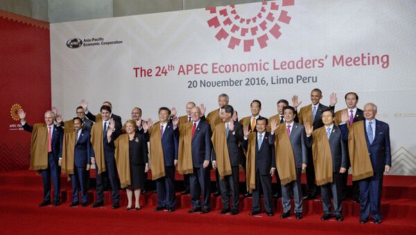 Leaders of Asia Pacific Economic Cooperation, APEC during the group photo in Lima, Peru - Sputnik International