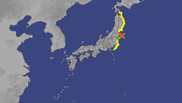 Initial tsunami observations following significant earthquake off Japanese coast - Sputnik International