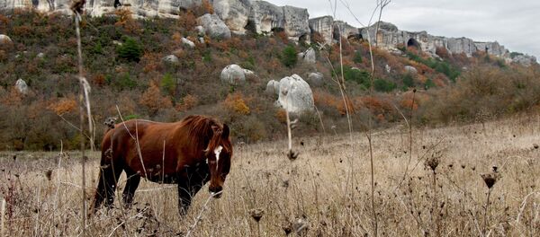 Russian regions. Crimea - Sputnik International