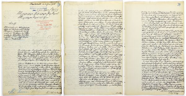 The reproductions provided by Landesarchiv Speyer show a letter by the grandfather of US President-elect Donald Trump. The handwritten letter has been found in a German archive in which Donald Trump's grandfather unsuccessfully fought his expulsion from the country for failing to perform mandatory military service.  - Sputnik International