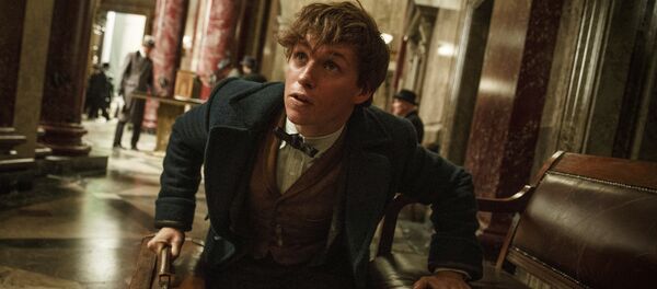 This image released by Warner Bros. Entertainment shows Eddie Redmayne in a scene from, Fantastic Beasts and Where to Find Them. This image released by Warner Bros. Entertainment shows Eddie Redmayne in a scene from, Fantastic Beasts and Where to Find Them. - Sputnik International