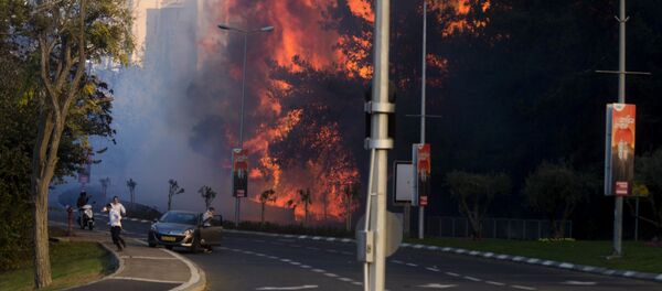 People run as wildfires rages in Haifa, Israel, Thursday, Nov. 24, 2016 - Sputnik International