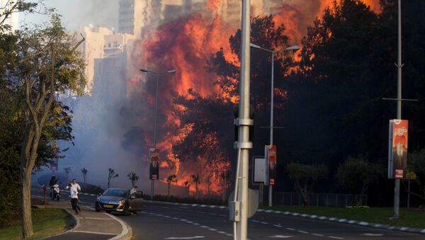 People run as wildfires rages in Haifa, Israel, Thursday, Nov. 24, 2016 - Sputnik International