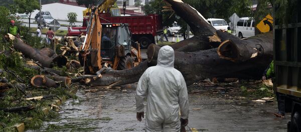 Hurricane Otto Hurricane Otto - Sputnik International