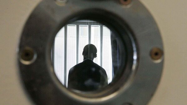 A security guard is seen through a small security window, in a room in the long-term wing at the new Colnbrook Immigration Removal Centre near London's Heathrow Airport, Thursday Sept. 16, 2004 - Sputnik International