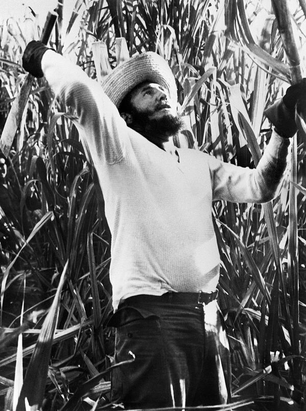Life and Death of a Titan: Tribute to Fidel Castro - Sputnik International