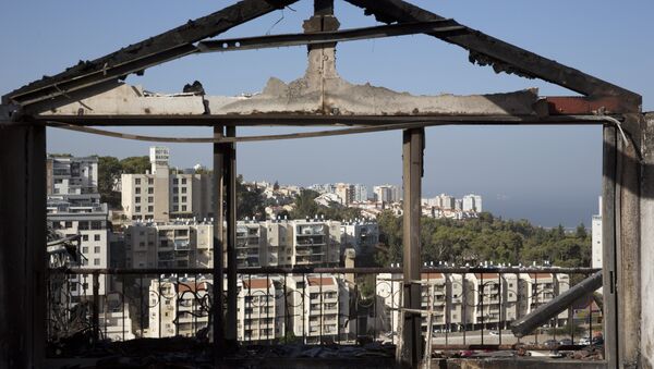 The Mediterranean sea and parts of the city can bee sen through a burned house following wildfires in Haifa, Israel, Friday, Nov. 25, 2016. Israeli firefighters reined in a blaze that had spread across the country's third-largest city and forced tens of thousands of people to flee their homes, but continued to battle more than a dozen other fires around the country for the fourth day in a row. - Sputnik International