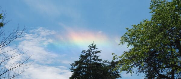 A circumhorizontal arc photographed in Hocking Hills, Ohio A circumhorizontal arc photographed in Hocking Hills, Ohio - Sputnik International