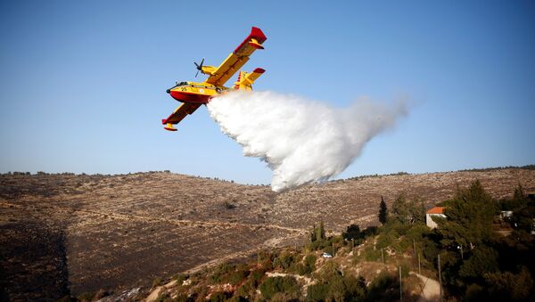A foreign firefighting plane drops fire retardant during a wildfire, around the communal settlement of Nataf, close to Jerusalem November 26, 2016. - Sputnik International