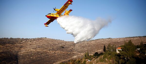 A foreign firefighting plane drops fire retardant during a wildfire, around the communal settlement of Nataf, close to Jerusalem November 26, 2016. A foreign firefighting plane drops fire retardant during a wildfire, around the communal settlement of Nataf, close to Jerusalem November 26, 2016. - Sputnik International