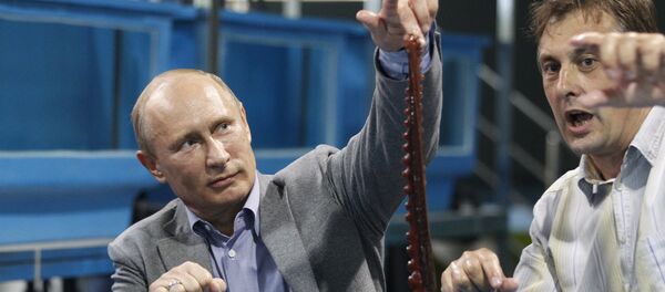 President Vladimir Putin (left) visiting the Primorye Oceanarium Research and Educational Center in the Russky Island, Vladivostok, the venue of the 2012 APEC Leaders' Week, September 6, 2012. President Vladimir Putin (left) visiting the Primorye Oceanarium Research and Educational Center in the Russky Island, Vladivostok, the venue of the 2012 APEC Leaders' Week, September 6, 2012. - Sputnik International
