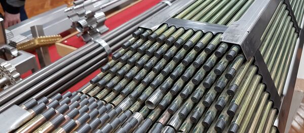 Nuclear fuel assembly Nuclear fuel assembly - Sputnik International
