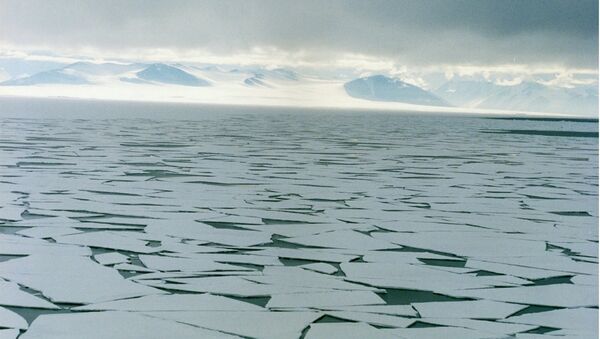 Sea ice in the Ross Sea, Antarctica - Sputnik International