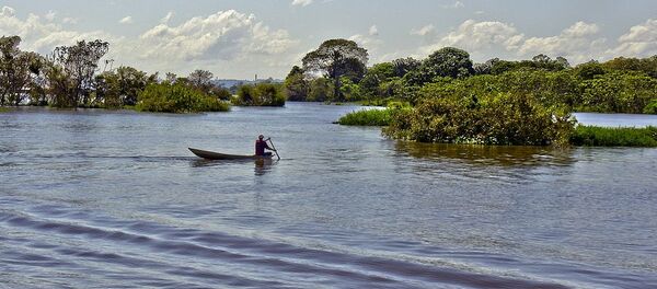 Rio Negro (Amazon) - Sputnik International