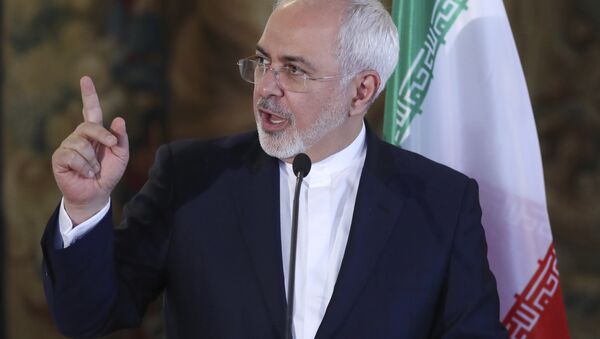 Iran's Foreign Minister Mohammad Javad Zarif  - Sputnik International