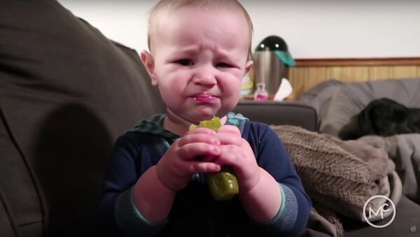 Baby tries pickle - His reaction has us in tears! - The McAllisters - Sputnik International