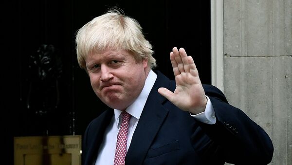 Britain's Foreign Secretary Boris Johnson arrives at Number 10 Downing Street in London, Britain October 24, 2016. - Sputnik International