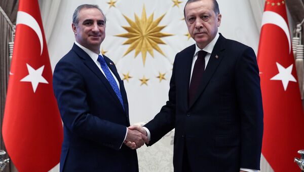 Turkish President Tayyip Erdogan shakes hands with the new Israeli Ambassador Eitan Naeh after Naeh has presented his letter of credence, at the Presidential Palace in Ankara, Turkey, December 5, 2016 - Sputnik International