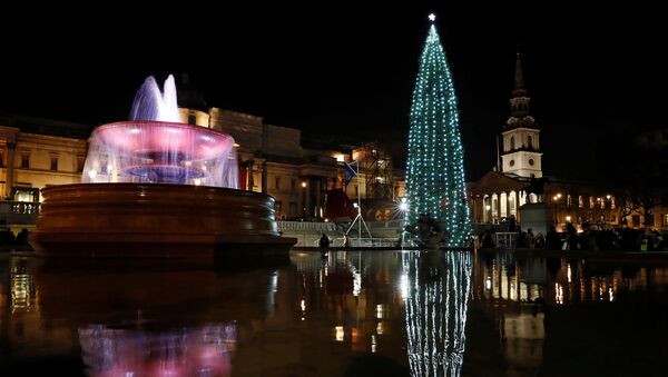 The Norwegian spruce Christmas tree is seen illuminated in Trafalgar Square in London, Britain - Sputnik International