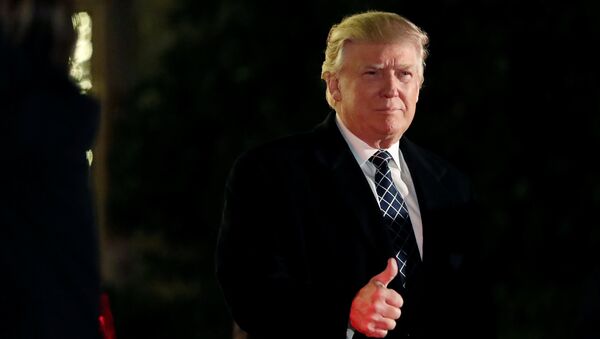U.S. President-elect Donald Trump - Sputnik International