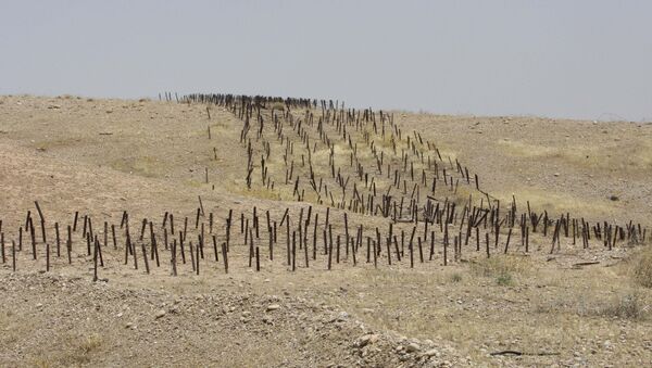 Minefield planted by Iraqi forces in the Iranian territory during 1980-88 Iran-Iraq war - Sputnik International