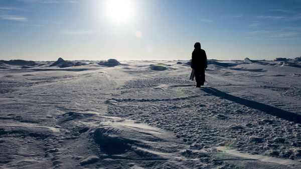 Arctic. (File) - Sputnik International