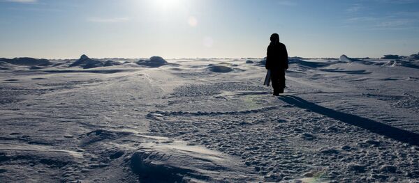 Arctic. (File) - Sputnik International