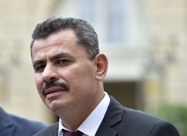 Brita Hagi Hasan - Sputnik International