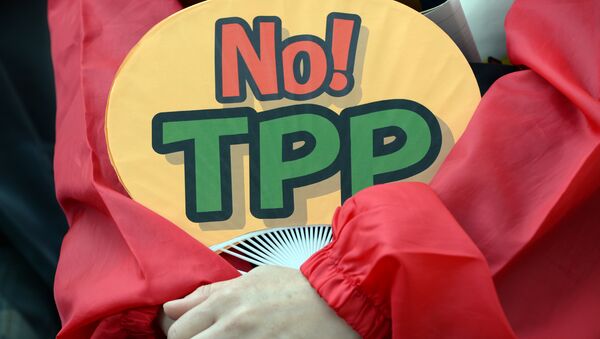 A demonstrator holds a fan with No! TPP in a protest against the Trans Pacific Partnership (TPP) trade deal at a sit-in demonstration in front of the parliament building in Tokyo - Sputnik International