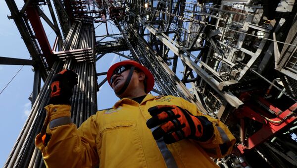 Employee works at the Centenario deep-water oil platform in the Gulf of Mexico off the coast of Veracruz, Mexico January 17, 2014 - Sputnik International