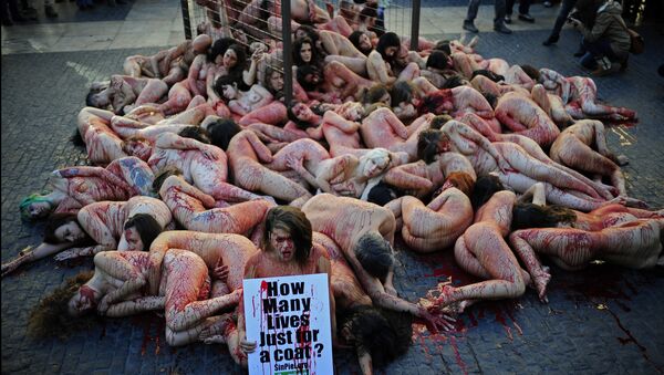Animal rights activists Anima Naturalis stage a naked protest against the use of leather and fur in the textile industry in Barcelona, Spain, Sunday, Dec. 1, 2013. - Sputnik International