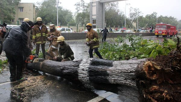 Rescue members cut a tree that fell on a road after it was uprooted by strong winds in Chennai, India, December 12, 2016 - Sputnik International