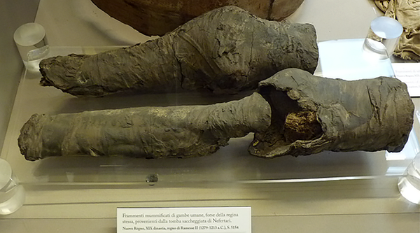 Mummified legs belonged to Queen Nefertari - Sputnik International