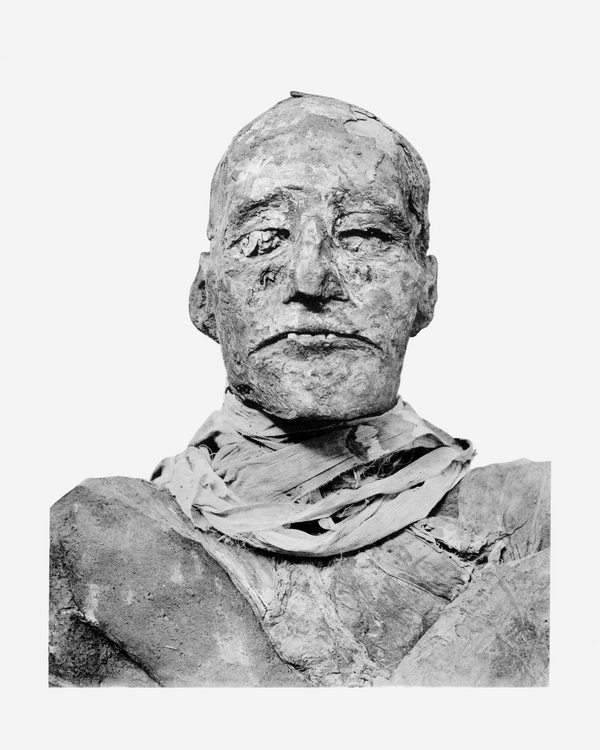 The mummy of Ramesses III The mummy of Ramesses III - Sputnik International