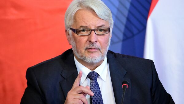 Polish Minister of Foreign Affairs Witold Waszczykowski - Sputnik International