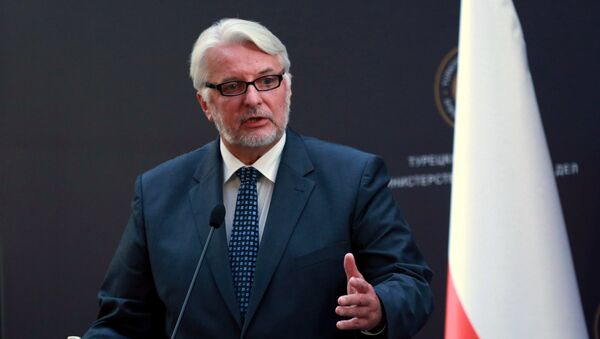 Polish Foreign Minister Witold Waszczykowski holds a joint press conference after a tripartite meeting at the Ankara Palace on August 25, 2016 - Sputnik International