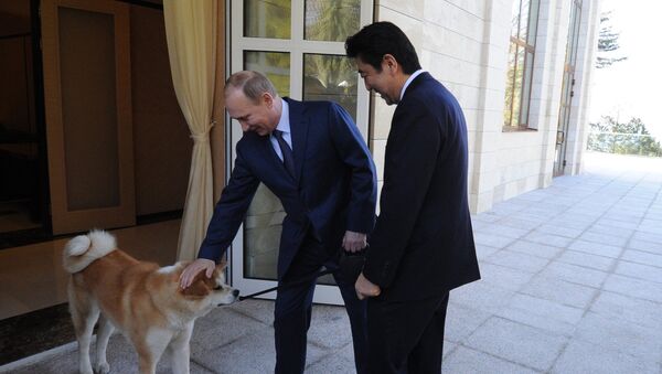 Russian President Vladimir Putin, left, and Japanese Prime Minister Shinzo Abe during a meeting at the Bocharov Ruchei residence - Sputnik International