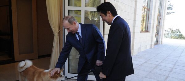 Russian President Vladimir Putin, left, and Japanese Prime Minister Shinzo Abe during a meeting at the Bocharov Ruchei residence Russian President Vladimir Putin, left, and Japanese Prime Minister Shinzo Abe during a meeting at the Bocharov Ruchei residence - Sputnik International