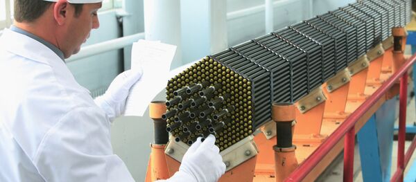 Nuclear power reactor fuel assembly at the Novosibirsk Chemical Concentrate Works - Sputnik International