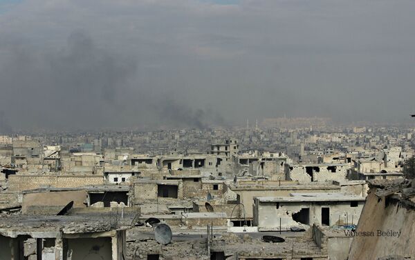 View from rooftops of Sheikh Saeed area of East Aleppo, decimated by street fighting, artillery fire, mortars, shells. - Sputnik International