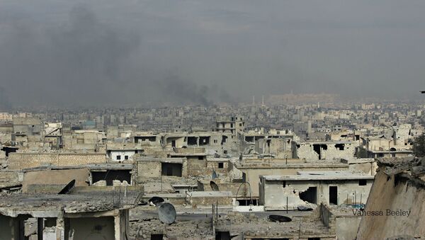 View from rooftops of Sheikh Saeed area of East Aleppo, decimated by street fighting, artillery fire, mortars, shells. - Sputnik International