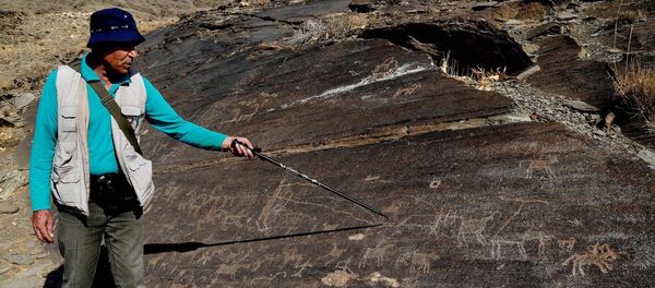 Mohammad Naserifard - Sputnik International