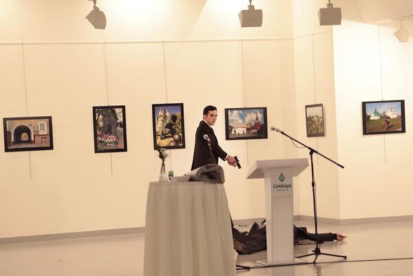 Turkish Prosecutors Demand Life Sentence for 8 Suspects in Killing of Russian Ambassador Karlov Turkish Prosecutors Demand Life Sentence for 8 Suspects in Killing of Russian Ambassador Karlov - Sputnik International