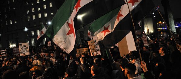 Protesters wave flags during a demonstration in solidarity with the inhabitants of the embattled Syrian city of Aleppo, outside the entrance to Downing Street, in central London on December 13, 2016. - Sputnik International
