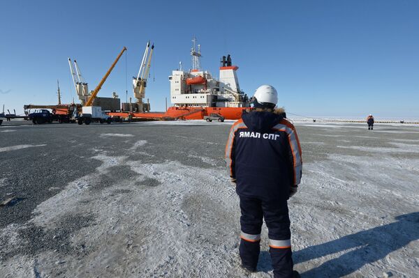 A worker watches a ship being unloaded at Sabetta seaport in the Yamal-Nenets Autonomous Area. (File) A worker watches a ship being unloaded at Sabetta seaport in the Yamal-Nenets Autonomous Area. (File) - Sputnik International