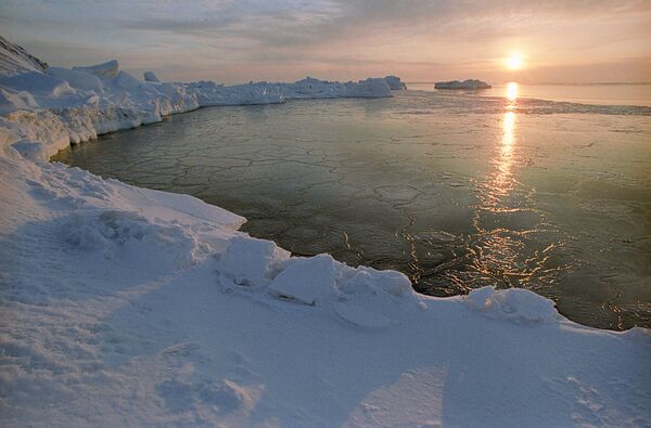 An Arctic dawn - Sputnik International