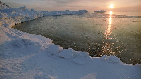 An Arctic dawn. (File) - Sputnik International