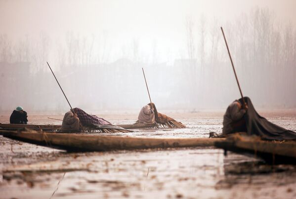 Kashmiri fishermen cover their heads and part of their boats with blankets and straw as they wait to catch fish in the waters of the Anchar Lake on a cold day in Srinagar - Sputnik International